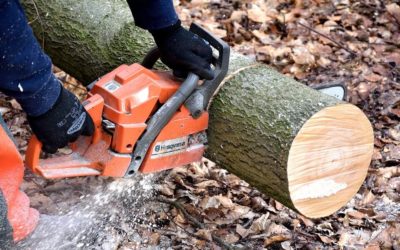 Milyen védőfelszerelésre van szükséged ha fát hasogatsz?