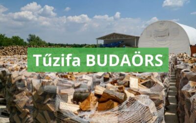 Tűzifa Budaörs területére házhozszállítással